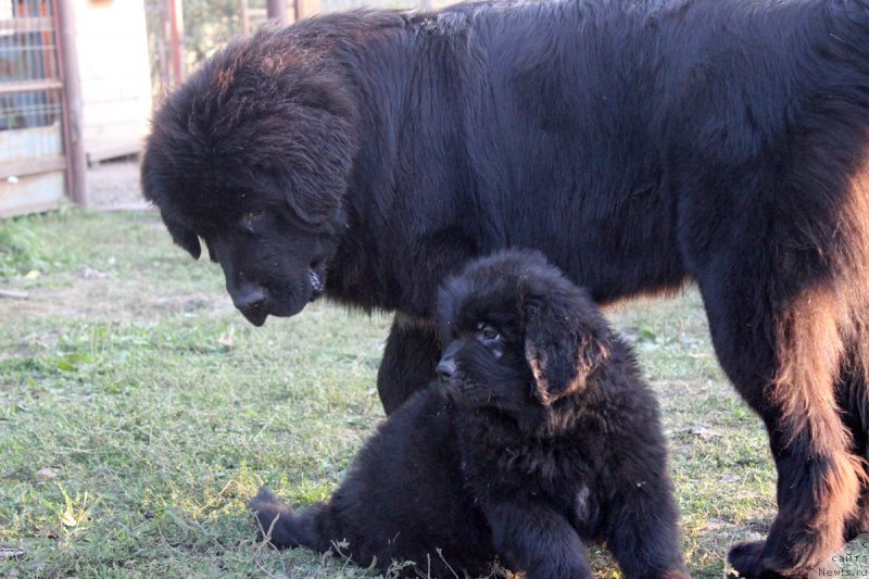 Фотография № 165050