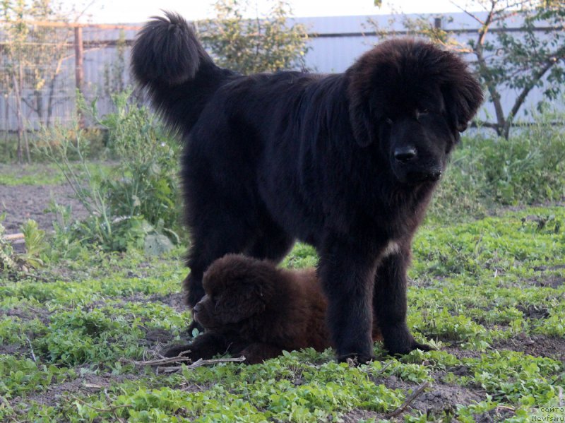 Фотография № 165052