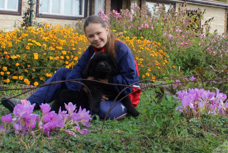 Фотография № 165053