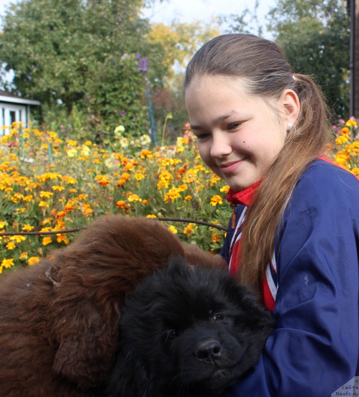 Фотография № 165054