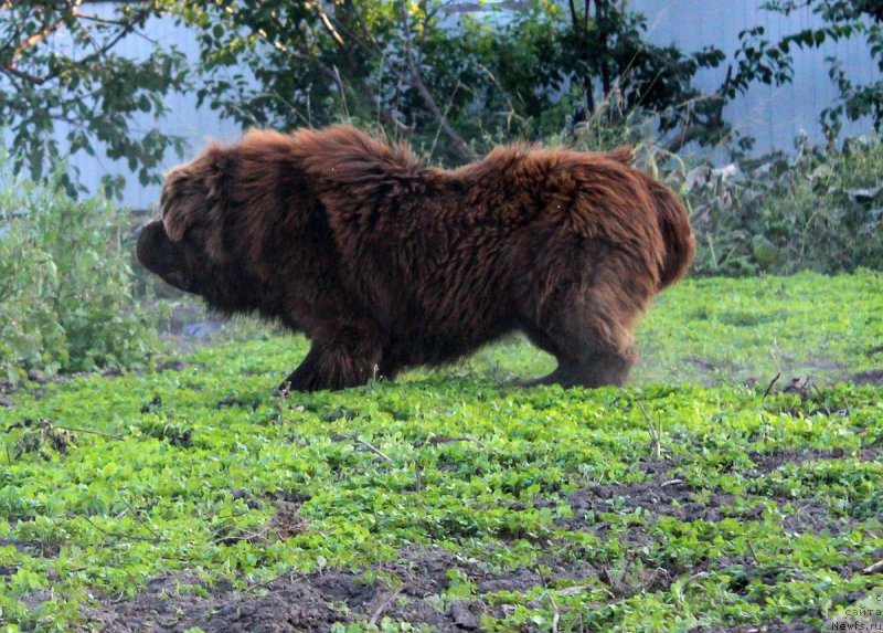 Фотография № 165058