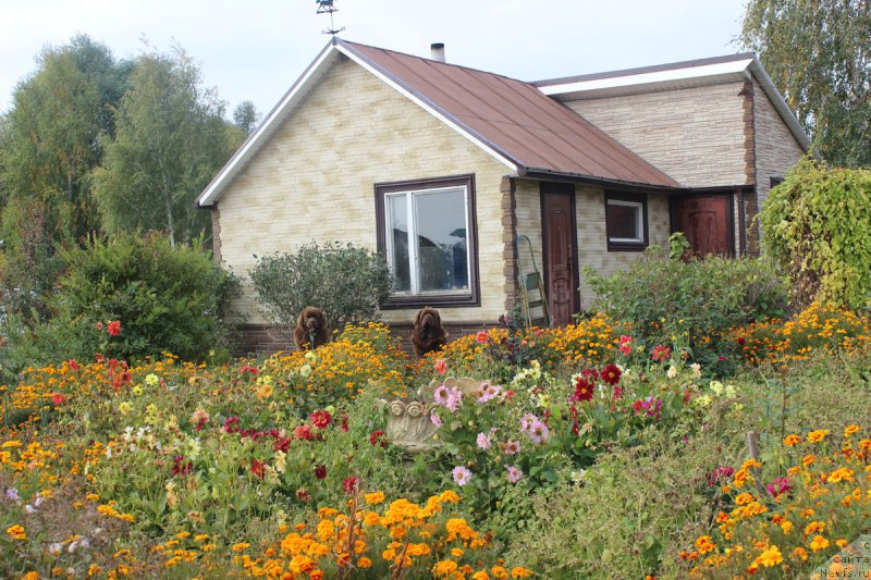 Фотография № 165062