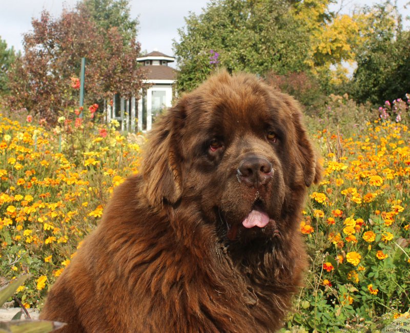 Фотография № 165064