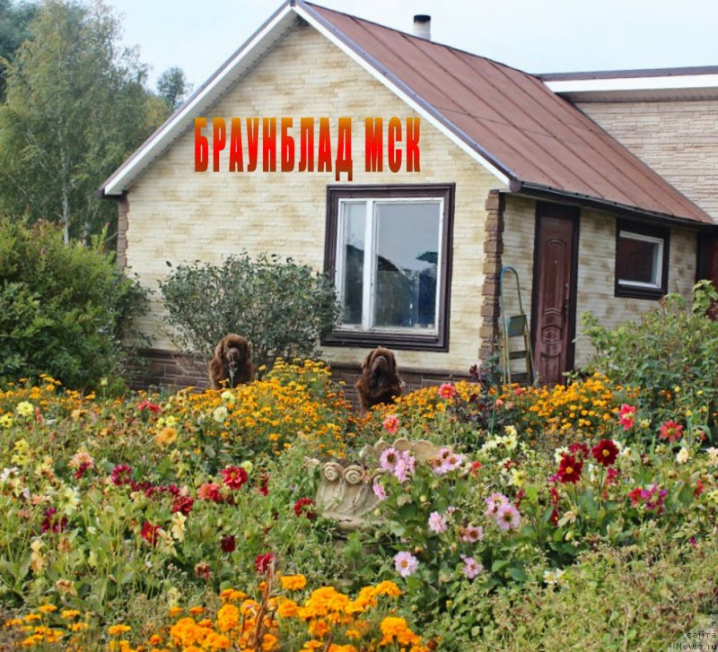 Фотография № 165078