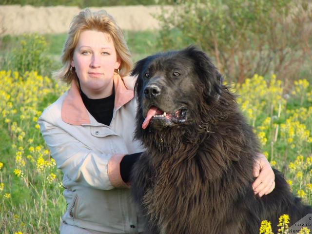 Фото: Людмила Фомичева