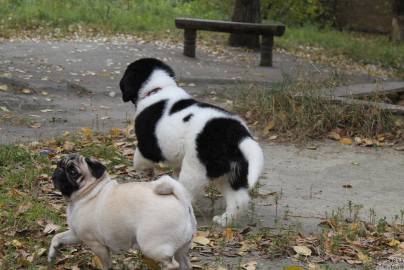 Фотография № 165082