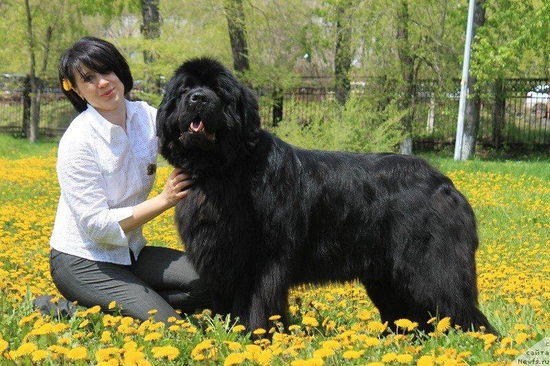 Фотография № 165093