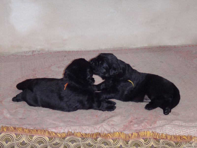 Фотография № 165096