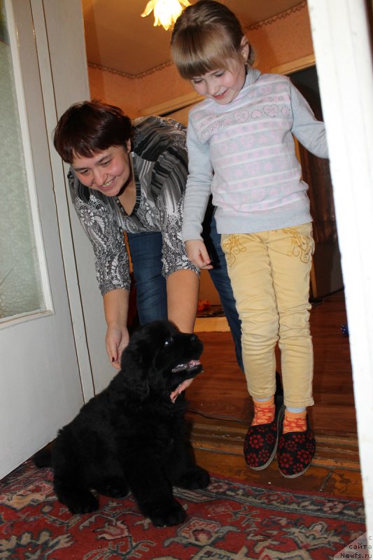 Фотография № 165121