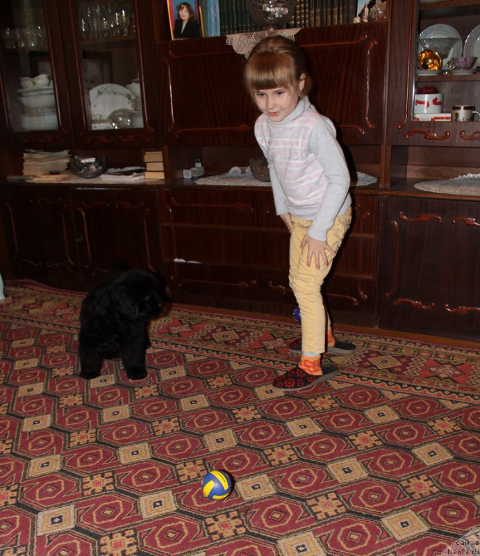 Фото: Максимилиан Наследный Принц