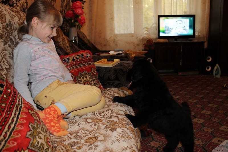 Фотография № 165123