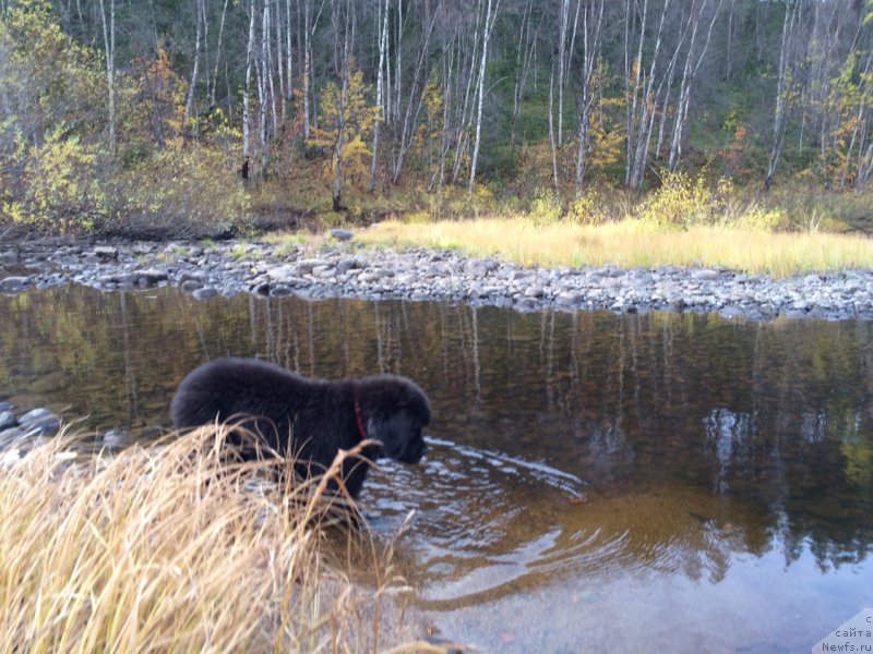 Фотография № 165150