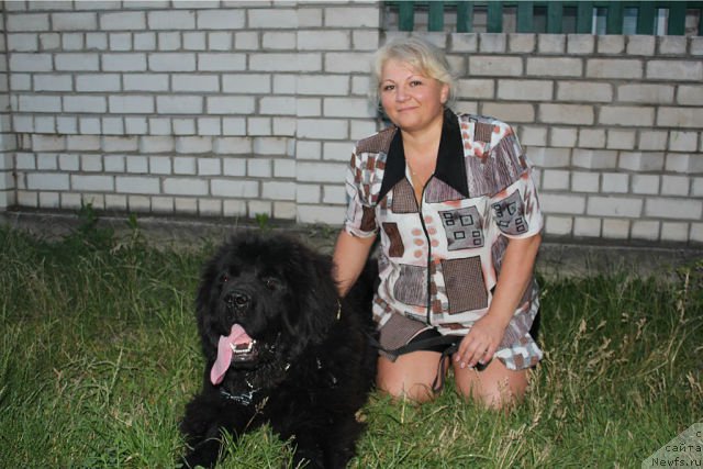 Фотография № 165154