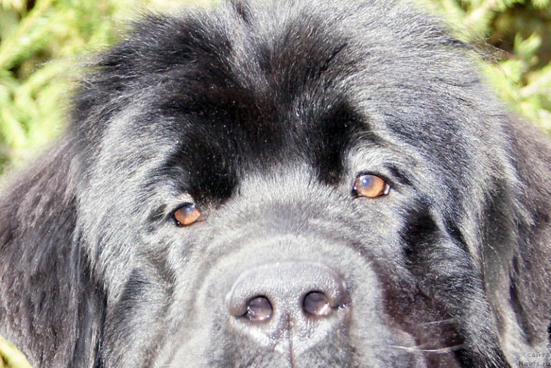 Фотография № 165164