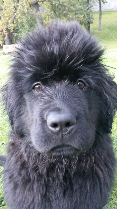 Фотография № 165167