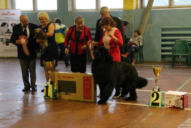 Фотография № 165182