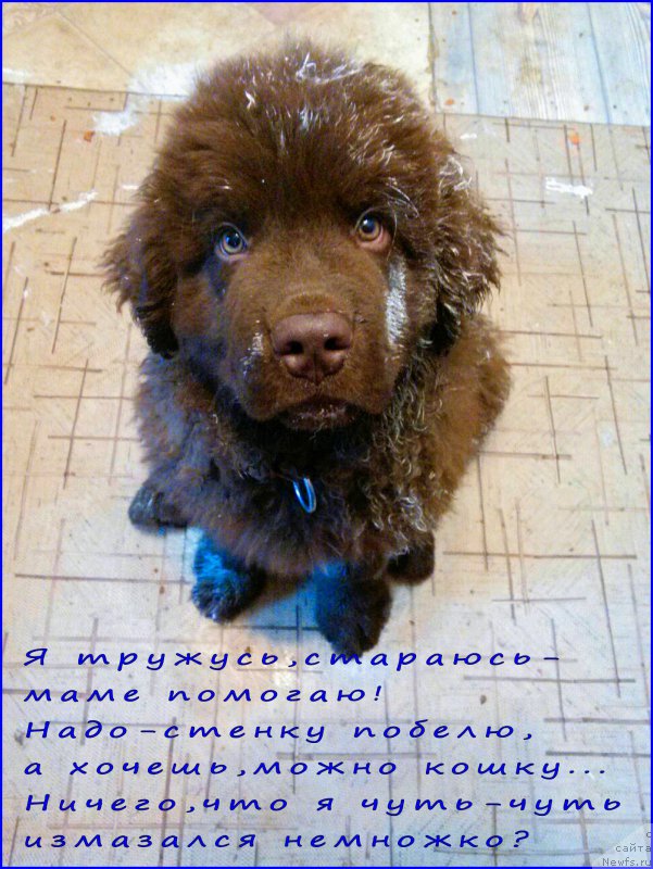 Фотография № 165185