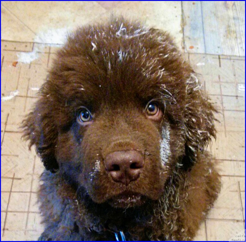 Фотография № 165186