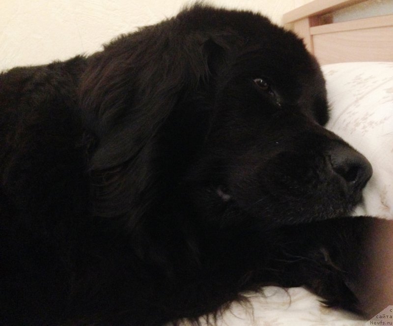 Фотография № 165192