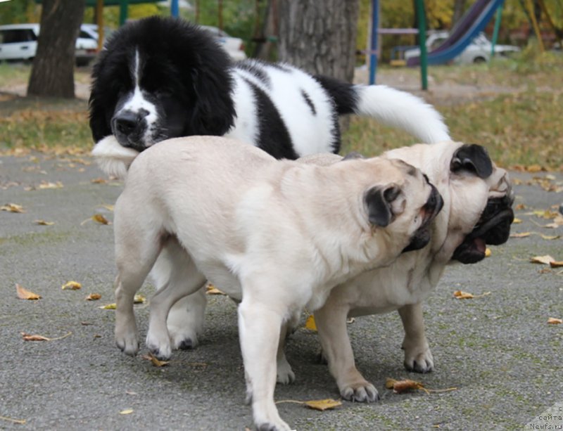 Фотография № 165195