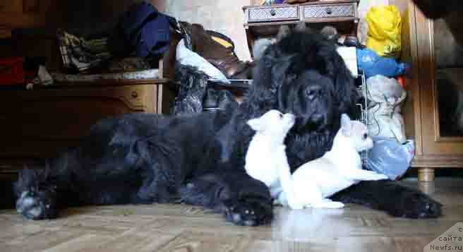 Фотография № 165202