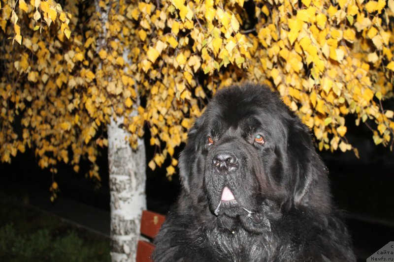 Фотография № 165203