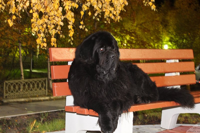 Фотография № 165204