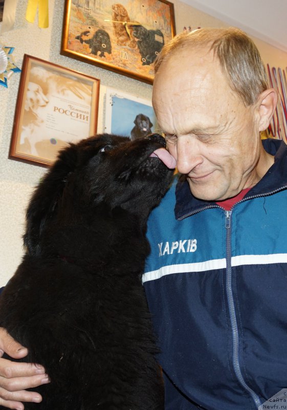 Фотография № 165211