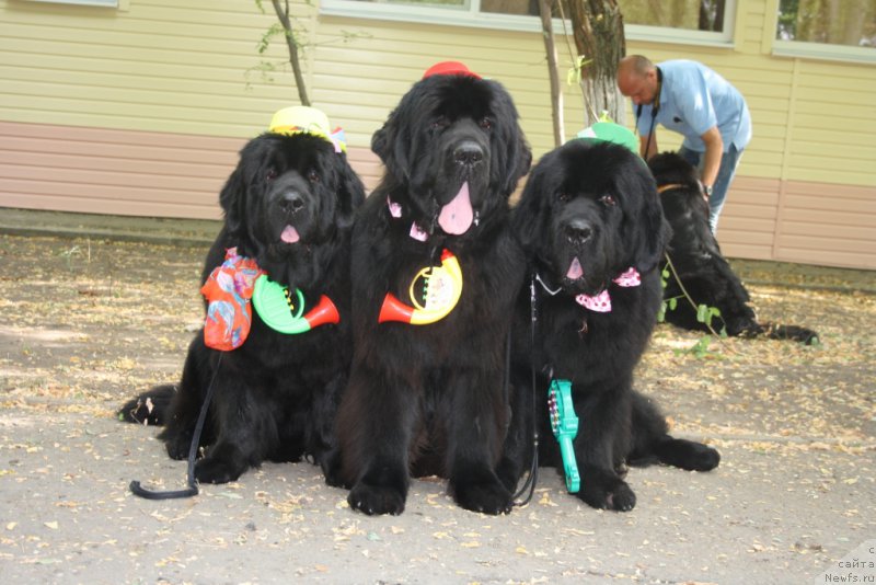 Фотография № 165212