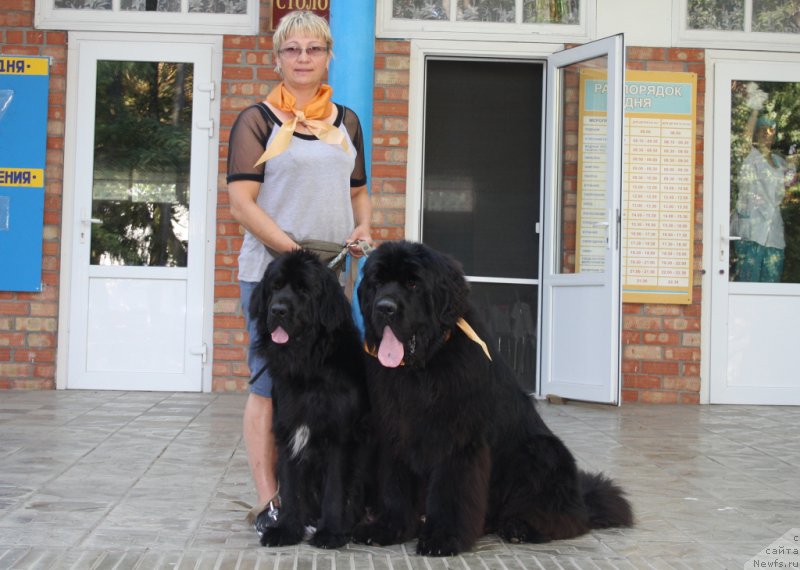 Фотография № 165214