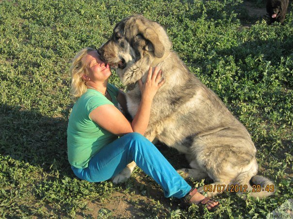 Фото: Лена Зырина, ДЕН