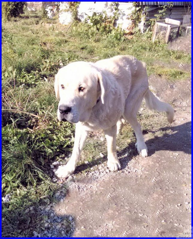 Фотография № 165216