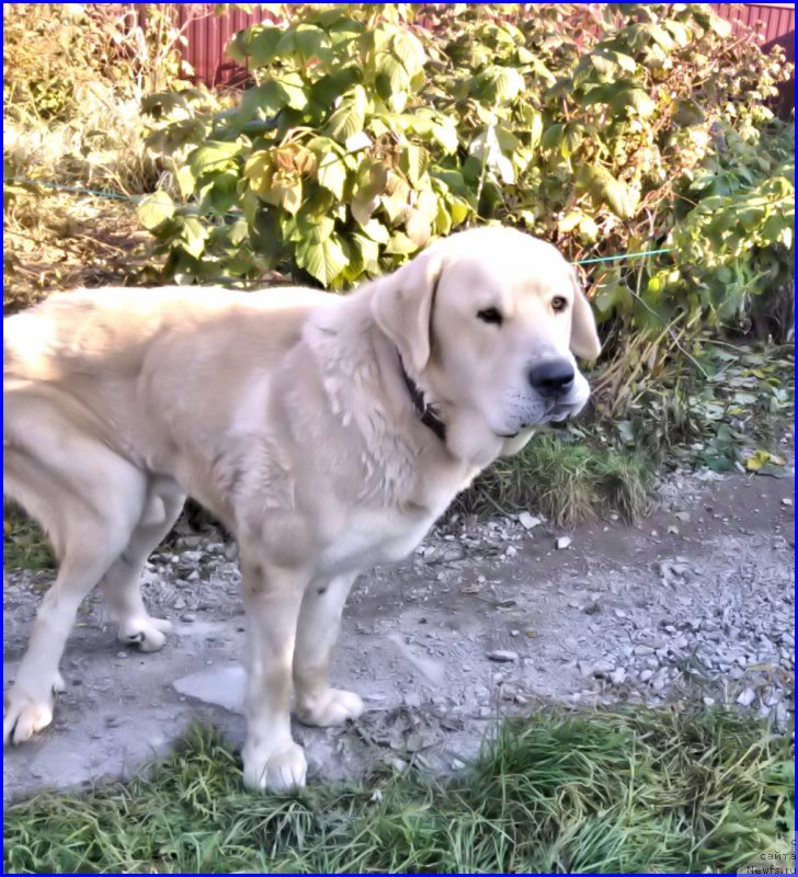 Фотография № 165217