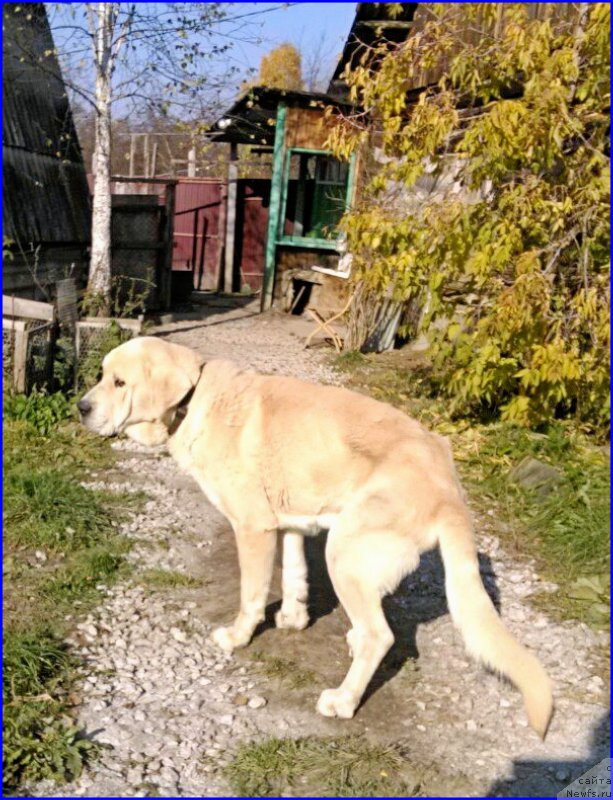 Фотография № 165218