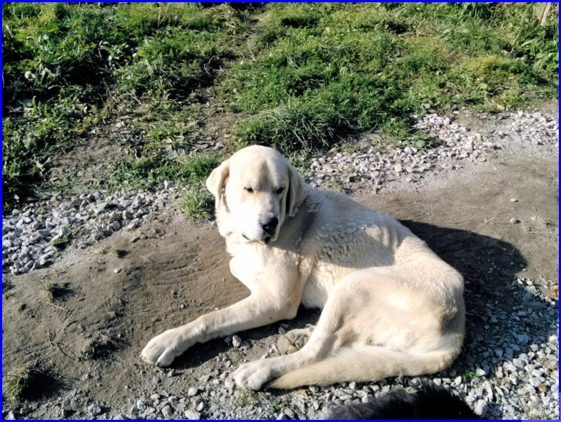 Фотография № 165219