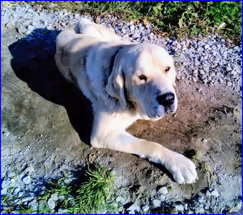 Фотография № 165220