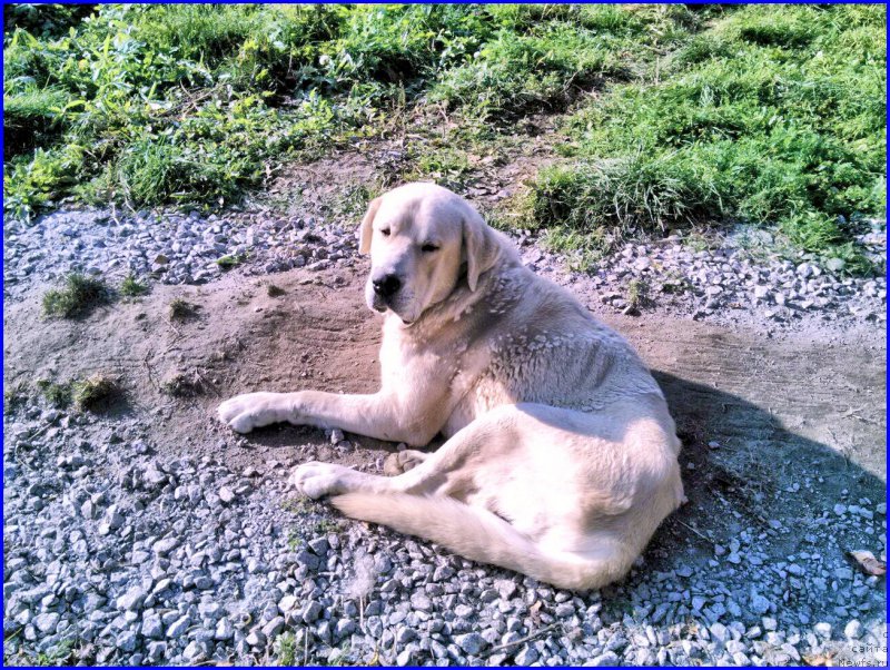 Фото: Лена Зырина, ФРАНКО