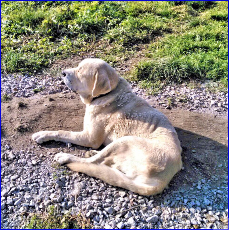 Фотография № 165223