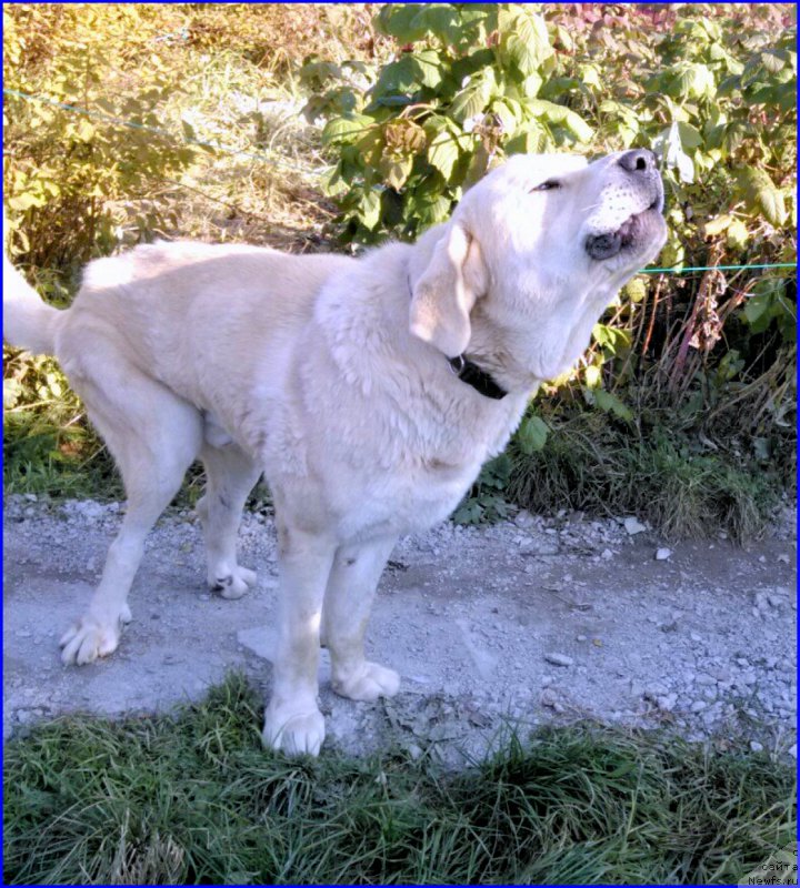 Фотография № 165226