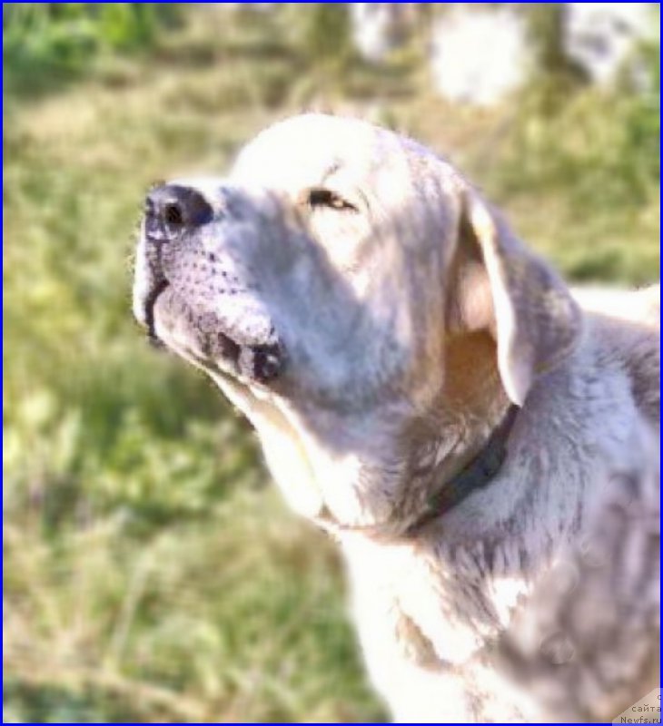 Фотография № 165229