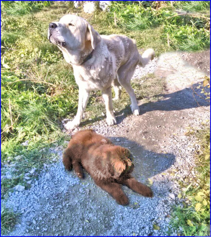 Фотография № 165230