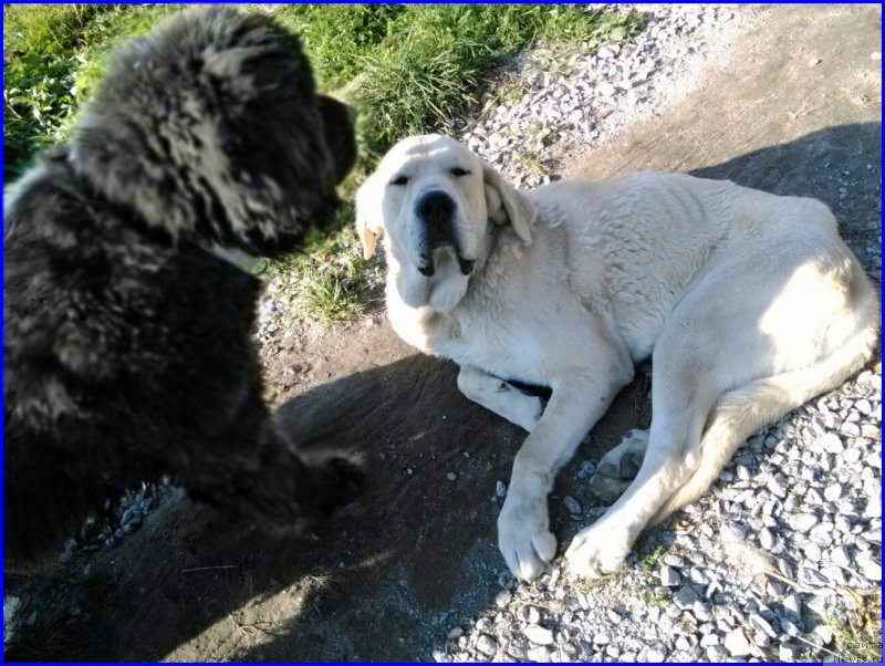 Фотография № 165235