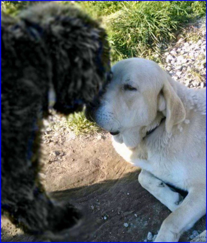 Фотография № 165240