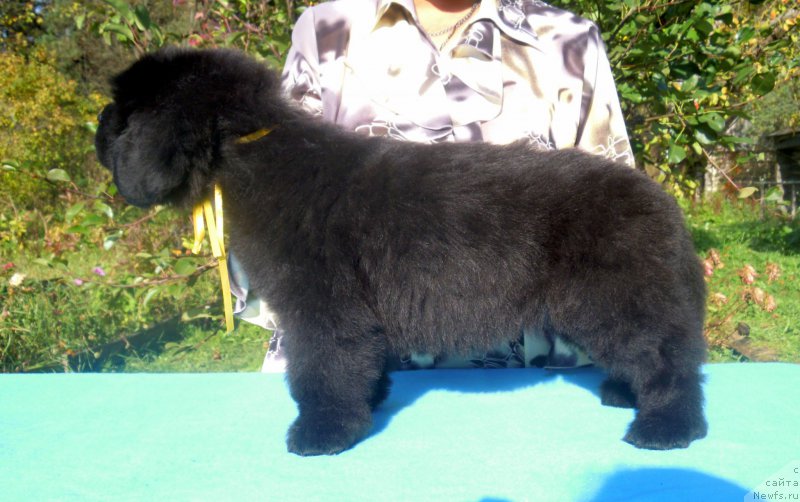 Фотография № 165271