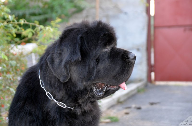 Фотография № 165276