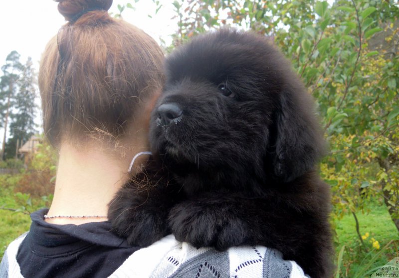 Фотография № 165291