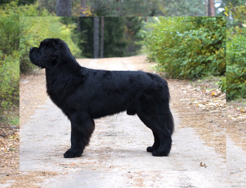 Фотография № 165301