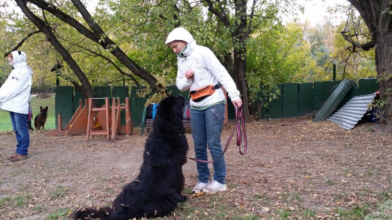 Фотография № 165307