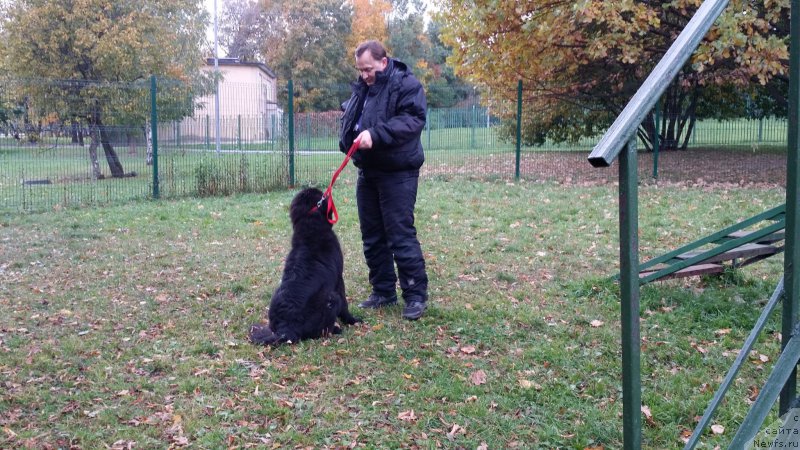 Фотография № 165308