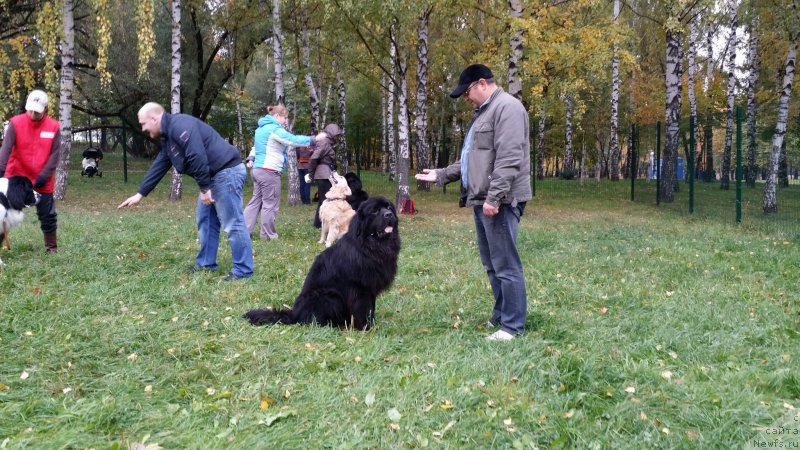 Фотография № 165311